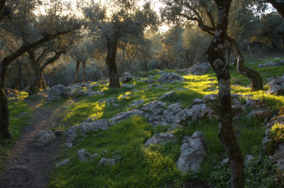 Fatima, Calvario