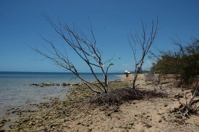 Tiny Island near Noumea