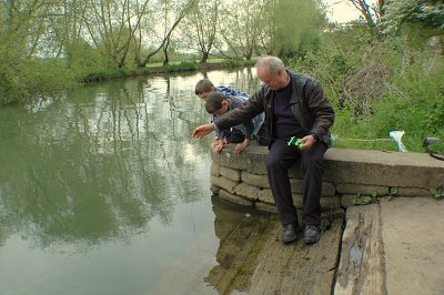 Hunting crayfish in the river Thames, Oxford, UK