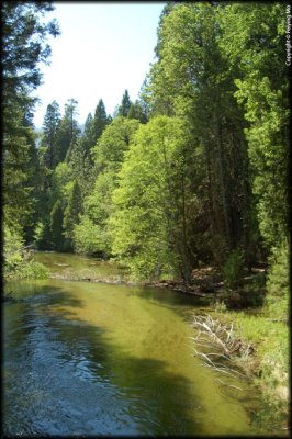 One of the tributory creeks to the Merced River