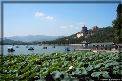 The Kunming Lake with lots of lotus plants