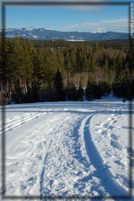 Our snowshoe track