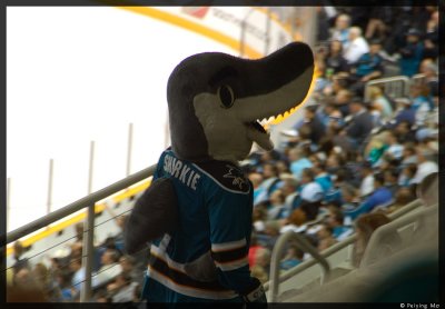 SJ Sharkie, the team mascot