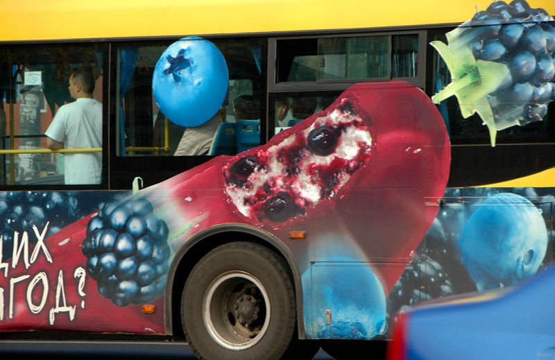Bus