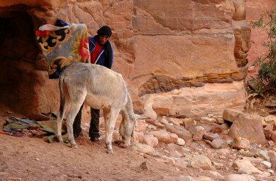 Saddeling The Donkey - Petra