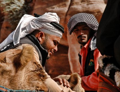 Camel Men - Petra