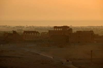 Foggy In The Morning - Palmyra