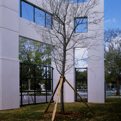 File4536 copy copy.jpg