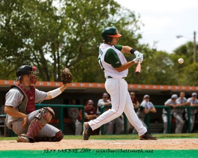 Canes 2009