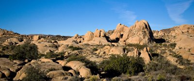 Joshua Tree