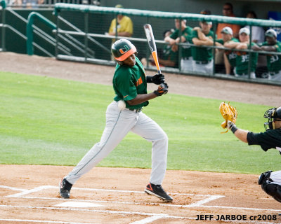 Canes Marlins 2008