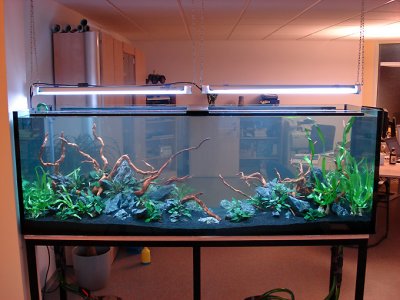 1hour after set up
