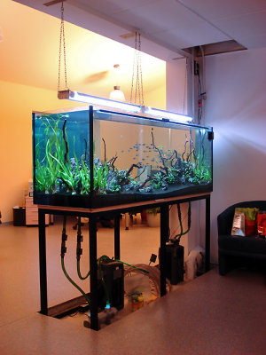 17th day after set up