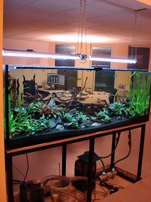 1 month after set up