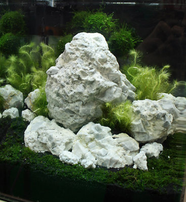 g1/11/259611/3/109933072.kBXa2WNB.jpg