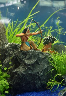 Aqua Fisch 2009 - Normal Tank's by Oliver Knott