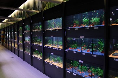 Koelle-Zoo Weiterstadt (Layout and set up by Oliver Knott)