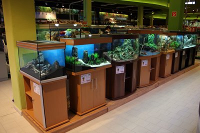 Koelle-Zoo Weiterstadt (Layout and set up by Oliver Knott)