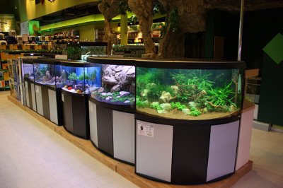 Koelle-Zoo Weiterstadt (Layout and set up by Oliver Knott)