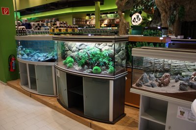 Koelle-Zoo Weiterstadt (Layout and set up by Oliver Knott)