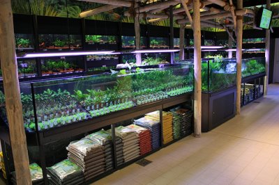 Koelle-Zoo Weiterstadt (Layout and set up by Oliver Knott)