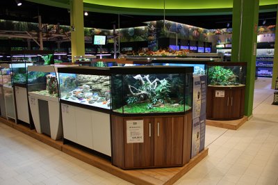Koelle-Zoo Weiterstadt (Layout and set up by Oliver Knott)