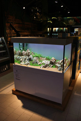 Koelle-Zoo Weiterstadt (Layout and set up by Oliver Knott)