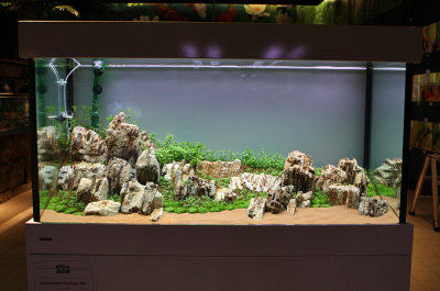 Koelle-Zoo Weiterstadt (Layout and set up by Oliver Knott)