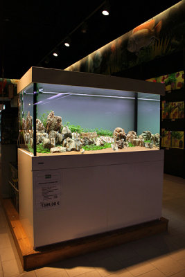 Koelle-Zoo Weiterstadt (Layout and set up by Oliver Knott)