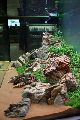 Koelle-Zoo Weiterstadt (Layout and set up by Oliver Knott)