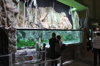 Koelle-Zoo Weiterstadt (Layout and set up by Oliver Knott)