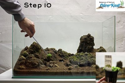 NatureSoil Step by Step Layout Nr.3 by Oliver Knott - Step 10