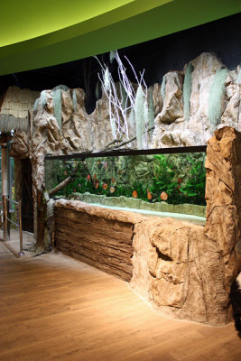 7.000 Liter Discus Aquarium - Set up by Oliver Knott