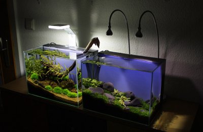 Low Maintain NatureSoil nano test tanks by Oliver Knott