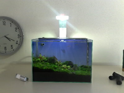 NatureSoil Nano Layout by Oliver Knott