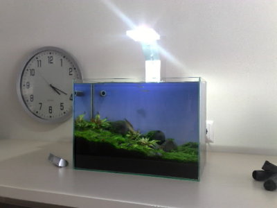 NatureSoil Nano Layout by Oliver Knott