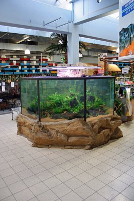 10.000 Liter Arowana tank by Oliver Knott