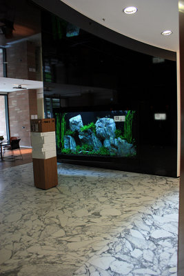 2000 Liter Aquascape by Oliver Knott