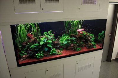 750 Liter LME Aquascape by Oliver Knott