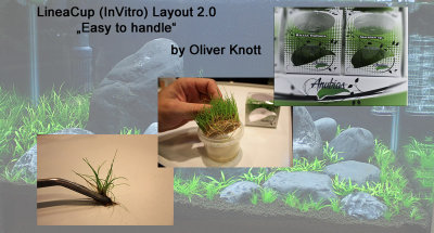 LineaCup (InVitro) Layout 2.0 by Oliver Knott