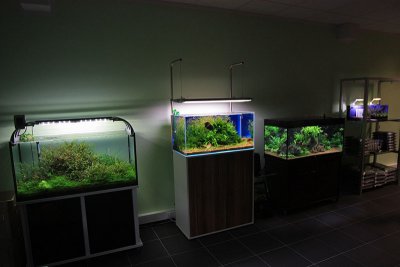 Aquascaping Seminar 13.11.2010