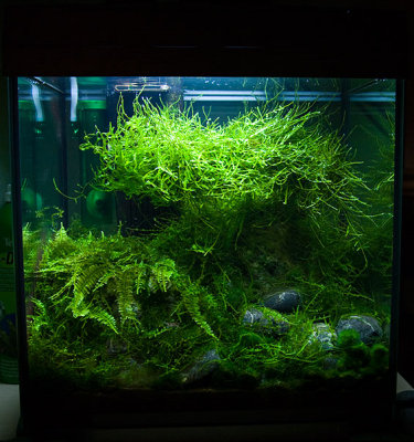 5 months after set up