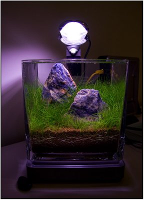 1 month after set up