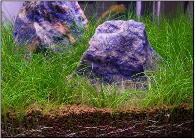 1 month after set up