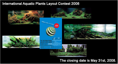 International Aquatic Plants Layout Contest 2008