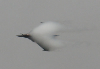 Riat 2009 Sunday Display