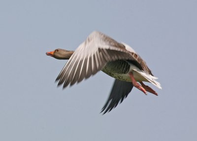 IMG_9653_Mweb.jpg