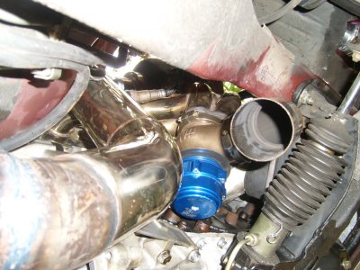 STP60404.JPG