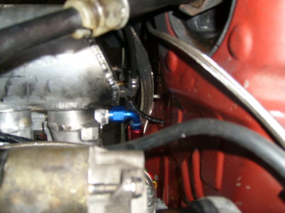 STP60411.JPG