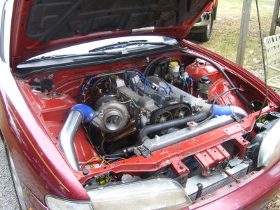 STP60413.JPG
